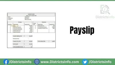 paffinancefms pay slip|ePayslip .